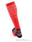 Lenz Compression Socks 1.0 Socks, Lenz, Red, , Male,Female,Unisex, 0051-10041, 5638053080, 9006729961357, N3-13.jpg