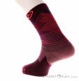 Ortovox All Mountain Mid Women Socks, Ortovox, Dark-Red, , Female, 0016-11747, 5638053668, 4251877737155, N1-11.jpg