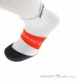adidas Terrex Heat.rdy Trail Speed Socks, adidas Terrex, White, , Male,Female,Unisex, 0359-10362, 5638054033, 4066746647301, N3-08.jpg