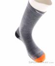 Salewa MTN TRN Merino Crew Mens Hiking Socks, Salewa, Gray, , Male, 0032-11357, 5638062064, 4053866477055, N2-02.jpg