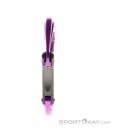 Petzl Spirit Bent Gate Carabiner, , Purple, , Male,Female,Unisex, 0074-10430, 5638062434, , N1-06.jpg
