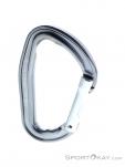 Petzl Djinn Straight Gate Carabiner, Petzl, Gray, , Male,Female,Unisex, 0074-10435, 5638062467, 3342540841390, N2-02.jpg