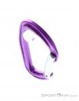 Petzl Djinn Bent Gate Carabiner, Petzl, Purple, , Male,Female,Unisex, 0074-10436, 5638062468, 3342540841529, N3-03.jpg