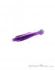 Petzl Djinn Bent Gate Carabiner, Petzl, Purple, , Male,Female,Unisex, 0074-10436, 5638062468, 3342540841529, N5-20.jpg