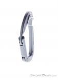 Edelrid Pure Straight Carabiner, Edelrid, Gray, , Male,Female,Unisex, 0084-10438, 5638062836, 4028545153667, N2-07.jpg