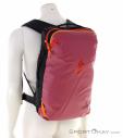 Cotopaxi Allpa 28l Backpack, Cotopaxi, Pink, , Male,Female,Unisex, 0430-10026, 5638066681, 840125678827, N1-01.jpg