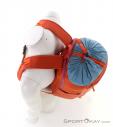 Cotopaxi Moda 20l Backpack, , Orange, , Male,Female,Unisex, 0430-10034, 5638067116, , N4-19.jpg