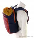 Cotopaxi Moda 20l Backpack, , Pink, , Male,Female,Unisex, 0430-10034, 5638067117, , N2-07.jpg