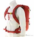 Ortovox Traverse 20l Backpack, , Red, , Male,Female,Unisex, 0016-11785, 5638067479, , N1-16.jpg
