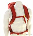 Ortovox Traverse 20l Backpack, , Red, , Male,Female,Unisex, 0016-11785, 5638067479, , N2-12.jpg