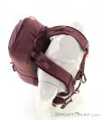 Ortovox Traverse 20l Backpack, , Purple, , Male,Female,Unisex, 0016-11785, 5638067482, , N4-09.jpg