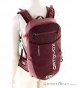 Ortovox Traverse S 18l Backpack, , Purple, , Male,Female,Unisex, 0016-11786, 5638067487, , N2-02.jpg