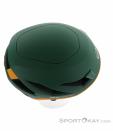 Wild Country Syncro Casque d’escalade, Wild Country, Vert foncé olive, , Hommes,Femmes,Unisex, 0243-10203, 5638073101, 4053866546393, N4-19.jpg