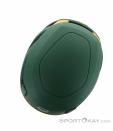 Wild Country Syncro Casque d’escalade, Wild Country, Vert foncé olive, , Hommes,Femmes,Unisex, 0243-10203, 5638073101, 4053866546393, N5-05.jpg