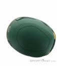 Wild Country Syncro Casque d’escalade, Wild Country, Vert foncé olive, , Hommes,Femmes,Unisex, 0243-10203, 5638073101, 4053866546393, N5-10.jpg