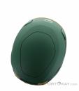 Wild Country Syncro Casque d’escalade, Wild Country, Vert foncé olive, , Hommes,Femmes,Unisex, 0243-10203, 5638073101, 4053866546393, N5-15.jpg