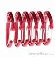 Wild Country Astro 6 Pack Carabiner, Wild Country, Red, , Male,Female,Unisex, 0243-10207, 5638073111, 4053866556590, N1-01.jpg