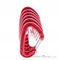 Wild Country Astro 6 Pack Carabiner, Wild Country, Red, , Male,Female,Unisex, 0243-10207, 5638073111, 4053866556590, N2-17.jpg