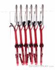Wild Country Astro 10cm 6er Quickdraw Set, Wild Country, Red, , Male,Female,Unisex, 0243-10209, 5638074590, 4053866556453, N2-12.jpg