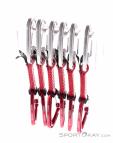 Wild Country Astro 10cm 6er Quickdraw Set, Wild Country, Red, , Male,Female,Unisex, 0243-10209, 5638074590, 4053866556453, N3-13.jpg