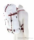 Exped Icefall 30l Zaino, Exped, Bianco, , Uomo,Donna,Unisex, 0098-10356, 5638076164, 7640171998459, N1-06.jpg