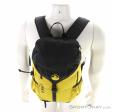 Kohla Alpine 20l Backpack, , Yellow, , Male,Female,Unisex, 0285-10078, 5638076397, , N3-03.jpg