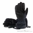 Dakine Leather Sequoia Glove GTX Women Ski Gloves Gore-Tex, Dakine, Black, , Female, 0200-10181, 5638088311, 610934364033, N1-11.jpg