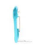 Edelrid Pure Wire III Carabiner, , Turquoise, , Male,Female,Unisex, 0084-10499, 5638091130, , N2-17.jpg