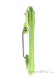 Edelrid Pure Wire III Carabiner, Edelrid, Light-Green, , Male,Female,Unisex, 0084-10499, 5638091132, 4028545153704, N1-16.jpg