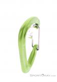 Edelrid Pure Wire III Carabiner, , Light-Green, , Male,Female,Unisex, 0084-10499, 5638091132, , N3-18.jpg