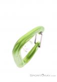 Edelrid Pure Wire III Carabiner, , Light-Green, , Male,Female,Unisex, 0084-10499, 5638091132, , N4-19.jpg