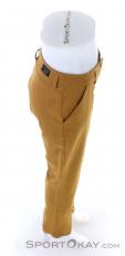 Salewa Fanes Hemp Pant Mujer Pantalón para exteriores, Salewa, Marrón, , Mujer, 0032-11403, 5638094159, 4053866591782, N3-18.jpg