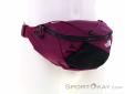 The North Face Lumbnical S Hip Bag, The North Face, Purple, , Male,Female,Unisex, 0205-10853, 5638104786, 196573156685, N1-01.jpg