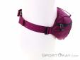 The North Face Lumbnical S Hip Bag, , Purple, , Male,Female,Unisex, 0205-10853, 5638104786, , N2-17.jpg
