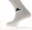 adidas Thin and Light Ankle 3er Set Socks, adidas, White, , Male,Female,Unisex, 0002-11779, 5638109376, 4066746321232, N1-11.jpg