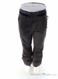 Picture Object Mens Ski Pants, Picture, Gray, , Male, 0343-10216, 5638111995, 3663270740884, N3-03.jpg