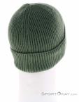 Picture Colino Beanie, Picture, Green, , Male,Female,Unisex, 0343-10231, 5638112199, 3663270728219, N1-16.jpg