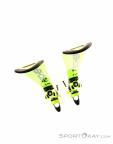 Fischer RC4 WC SL + RC4 Z17  Freeflex Ski Set 2025, Fischer, Yellow, , Male,Unisex, 0054-10355, 5638115146, 9002972930317, N5-20.jpg