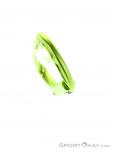 Edelrid Pure Slider Carabiner, , Green, , Male,Female,Unisex, 0084-10507, 5638120806, , N4-04.jpg