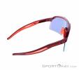Dynafit Ultra Evo Sunglasses, Dynafit, Dark-Red, , Male,Female,Unisex, 0015-11488, 5638121086, 4046402088853, N2-17.jpg