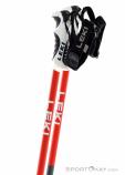 Leki Bold S Ski Poles, , Black, , Male,Female,Unisex, 0012-10519, 5638123132, , N2-07.jpg