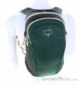 Osprey Daylite 13l Backpack, Osprey, Olive-Dark Green, , Male,Female,Unisex, 0149-10384, 5638123217, 843820162424, N2-02.jpg