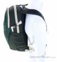 Osprey Daylite 13l Backpack, Osprey, Olive-Dark Green, , Male,Female,Unisex, 0149-10384, 5638123217, 843820162424, N2-07.jpg