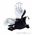 Hestra Army Leather Heli Ski Gants, , Noir, , Hommes,Femmes,Unisex, 0398-10045, 5638129701, , N2-12.jpg