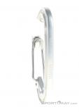 Wild Country Astro Carabiner, Wild Country, Silver, , Male,Female,Unisex, 0243-10143, 5638133381, 5033286031517, N1-16.jpg