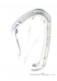 Wild Country Astro Carabiner, Wild Country, Silver, , Male,Female,Unisex, 0243-10143, 5638133381, 5033286031517, N2-12.jpg