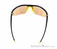 Alpina Lyron HR Sunglasses, , Yellow, , Male,Female,Unisex, 0027-10196, 5638133926, , N3-13.jpg