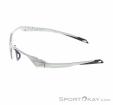 Alpina Twist Six HR Sports Glasses, Alpina, Gray, , Male,Female,Unisex, 0027-10243, 5638134579, 4003692321114, N2-07.jpg