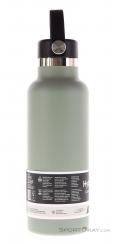 Hydro Flask 18oz Standard Flex Cap 532ml Bouteille thermos, Hydro Flask, Vert, , , 0311-10072, 5638137599, 810070085605, N1-16.jpg