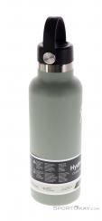 Hydro Flask 18oz Standard Flex Cap 532ml Thermos Bottle, Hydro Flask, Green, , , 0311-10072, 5638137599, 810070085605, N2-17.jpg